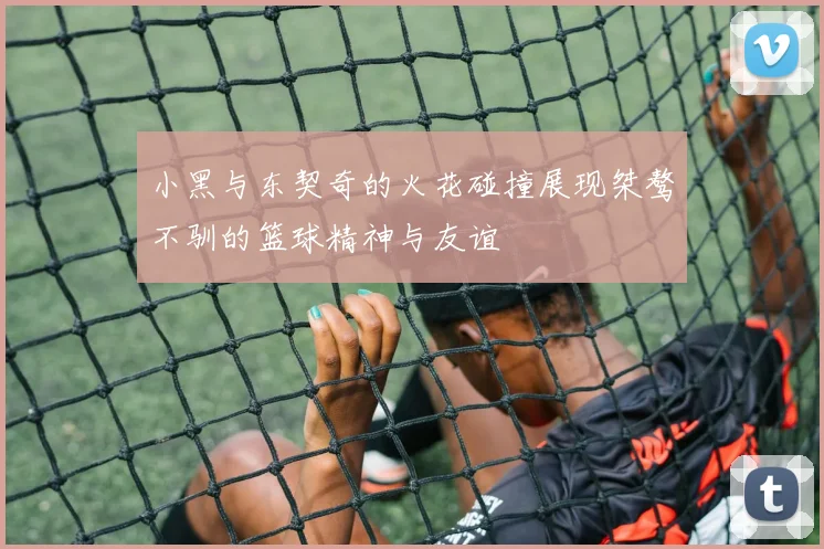 小黑与东契奇的火花碰撞展现桀骜不驯的篮球精神与友谊