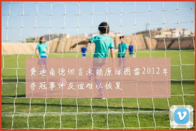 费迪南德坦言未能原谅图雷2012年夺冠事件友谊难以恢复