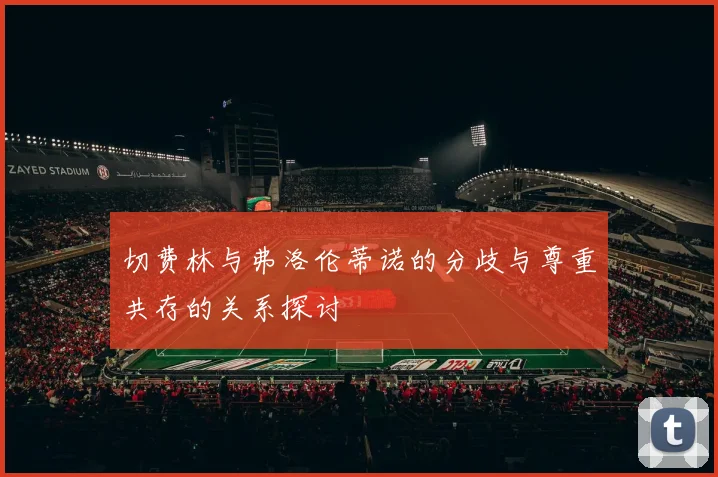 切费林与弗洛伦蒂诺的分歧与尊重共存的关系探讨
