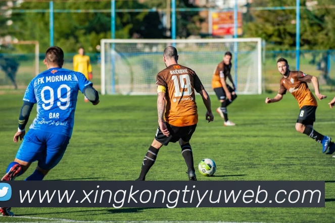 星空体育服务体系